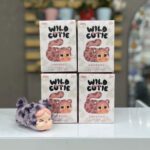 بلایند باکس کرای بیبی کیتی