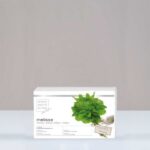 کپسول بادرنجبویه ملیسا (جعبه با 60 کپسول) ام بی کی