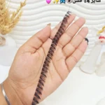 مژه مصنوعی کاشت فیشر ریسه‌ای (سایز ۱۴ فشن) (بالاترین کیفیت مژه کاشت)