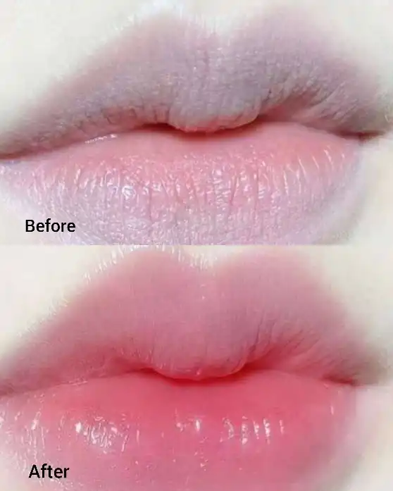 20250731063108319-thumbnail بالم لب مرطوب کننده و مراقبت کننده از خشکی لب کیتی برند Miss Vanessa کد 7025 - Image 1