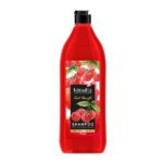 شامپو تمشک روت استرنس نیوتیس 750 میل|Newtis root strenght raspberry shampoo 400 ml
